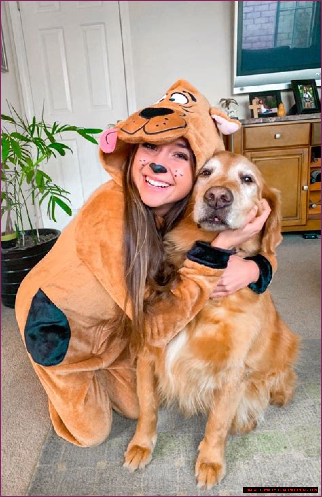 Adorable Adventures In A Dog Costume With Cone